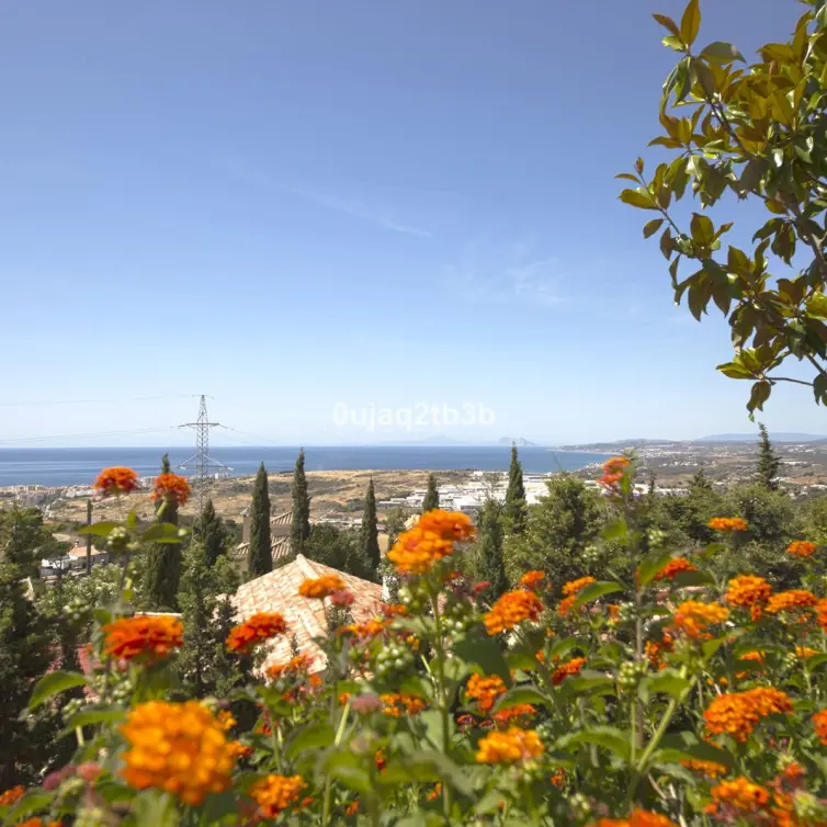Sale of detached villa in Estepona