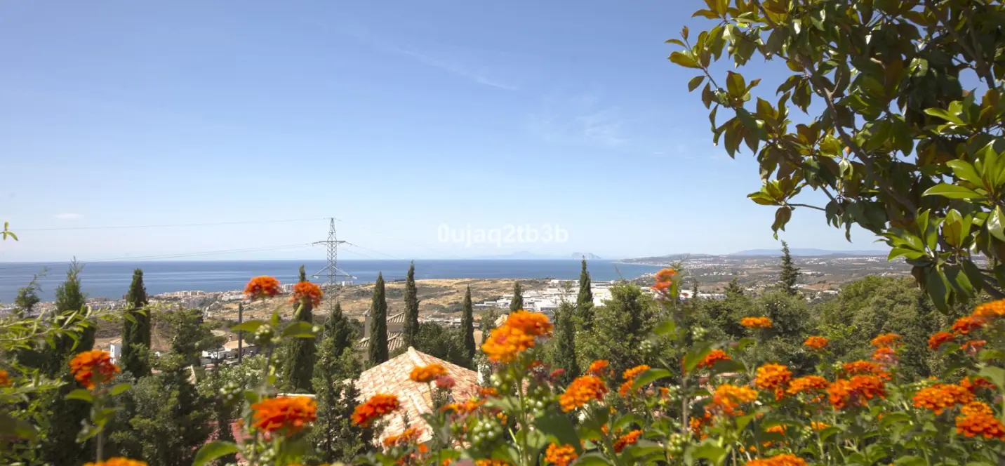 Sale of detached villa in Estepona 0