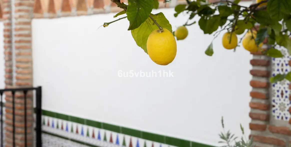 Sale of detached villa in Mijas 24