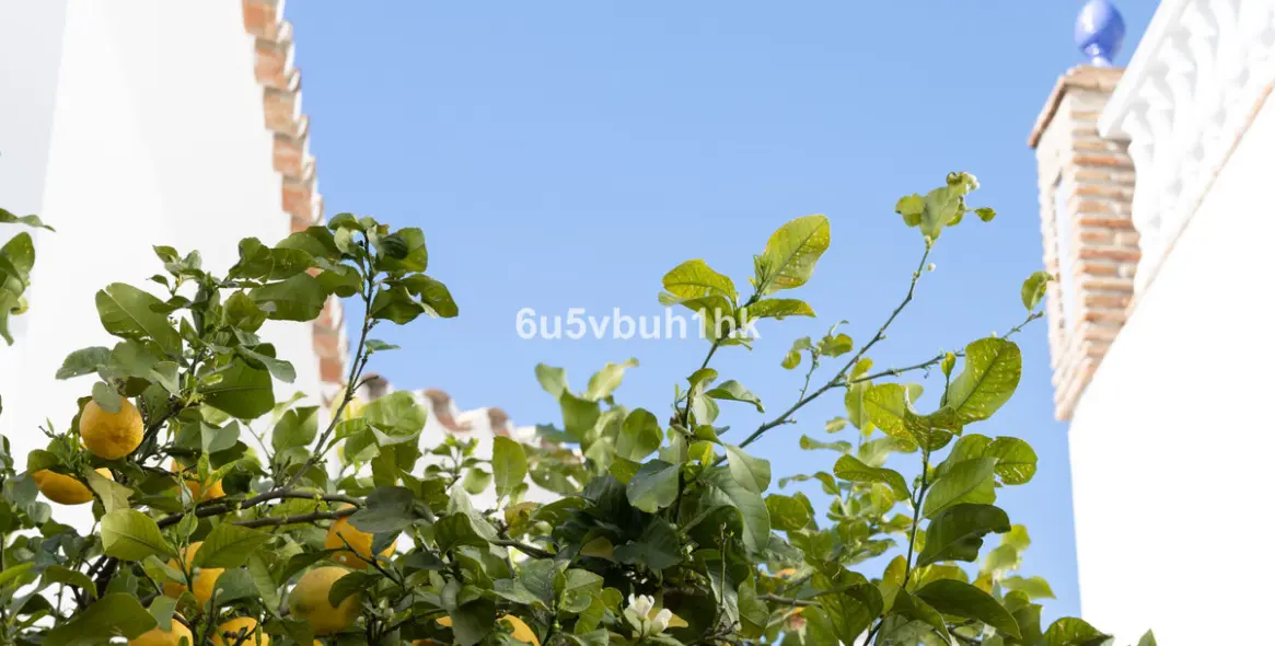 Sale of detached villa in Mijas 43