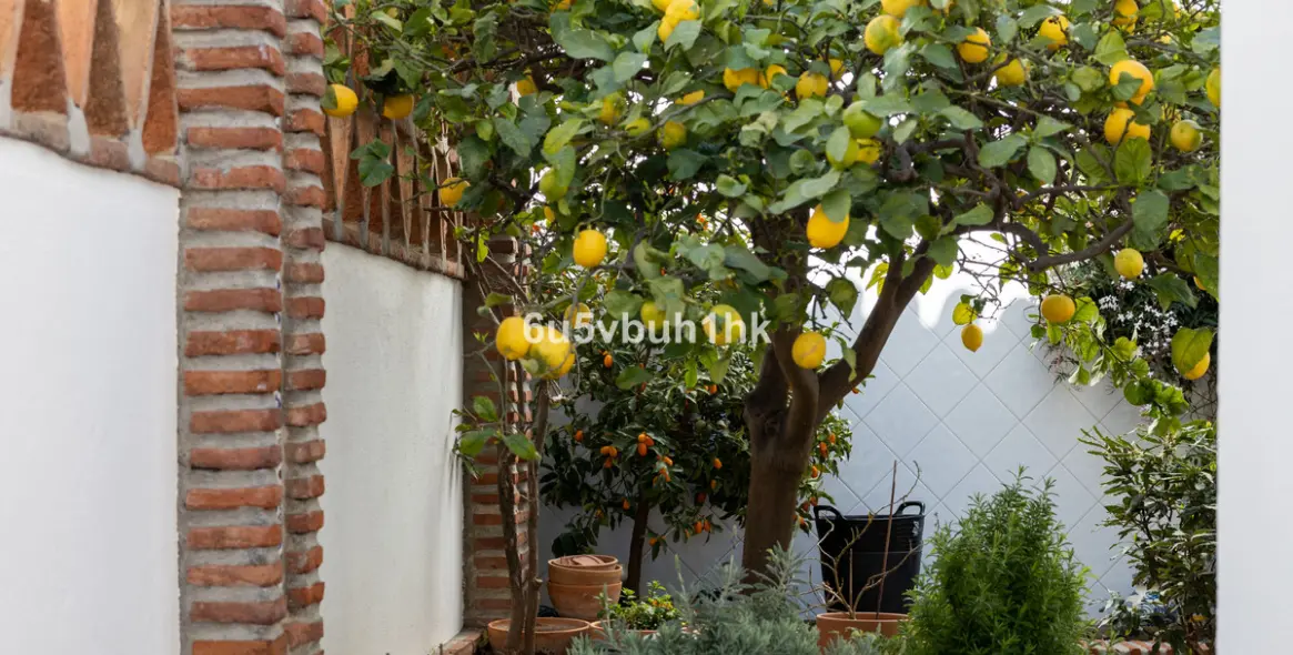 Venta de villa independiente en Mijas 49