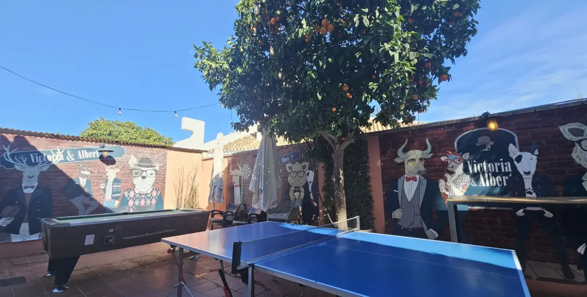 Sale of bar in Benavista 4