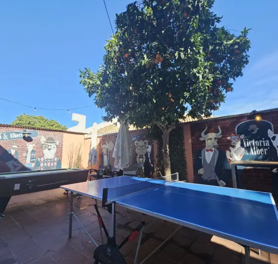 Продажа бара в Benavista