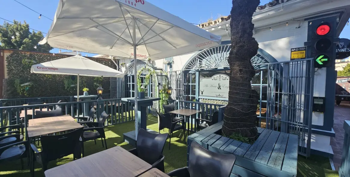 Sale of bar in Benavista 8