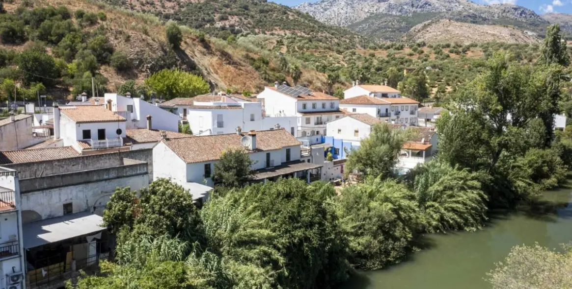 Sale of detached villa in Cortes de la Frontera 30