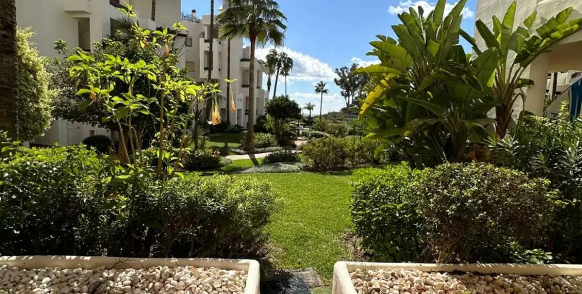 Sale of ground floor apartment in Estepona 7