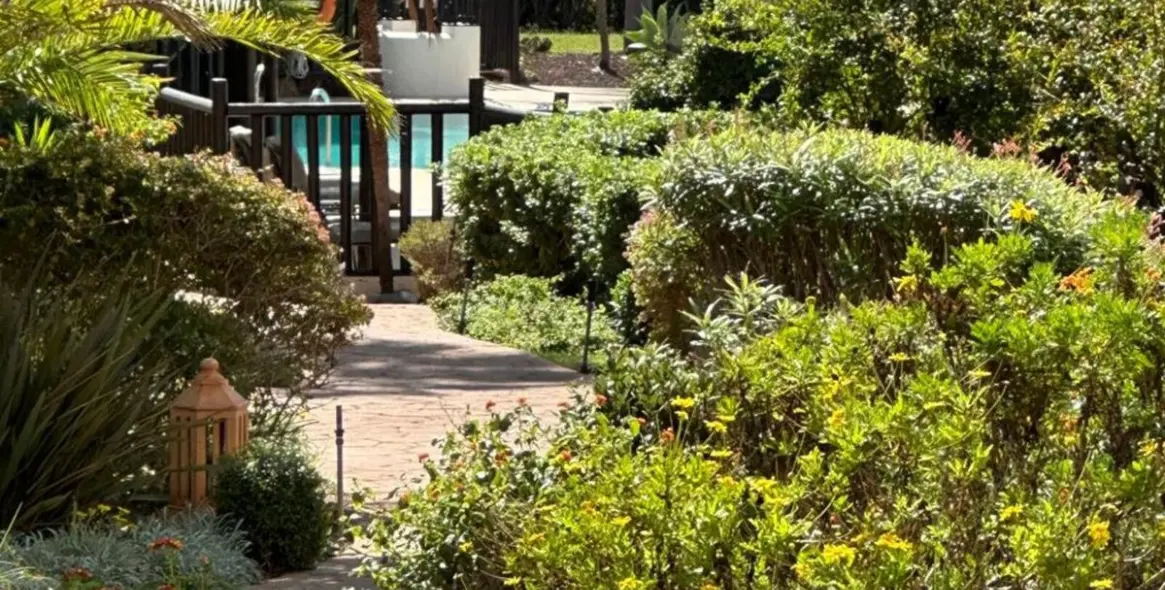 Sale of ground floor apartment in Estepona 8