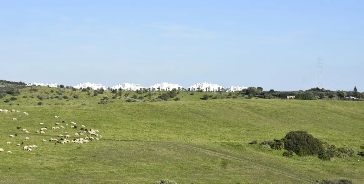 Sale of residential plot in Casares 9