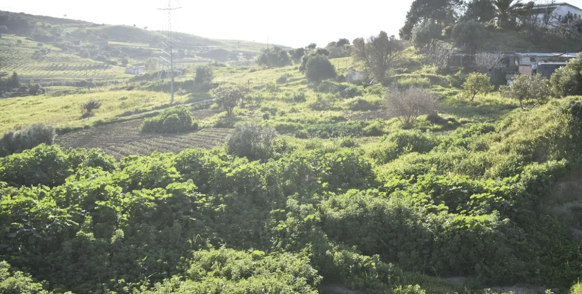 Sale of residential plot in Casares 11