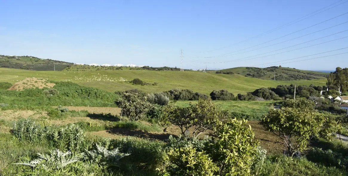 Sale of residential plot in Casares 16