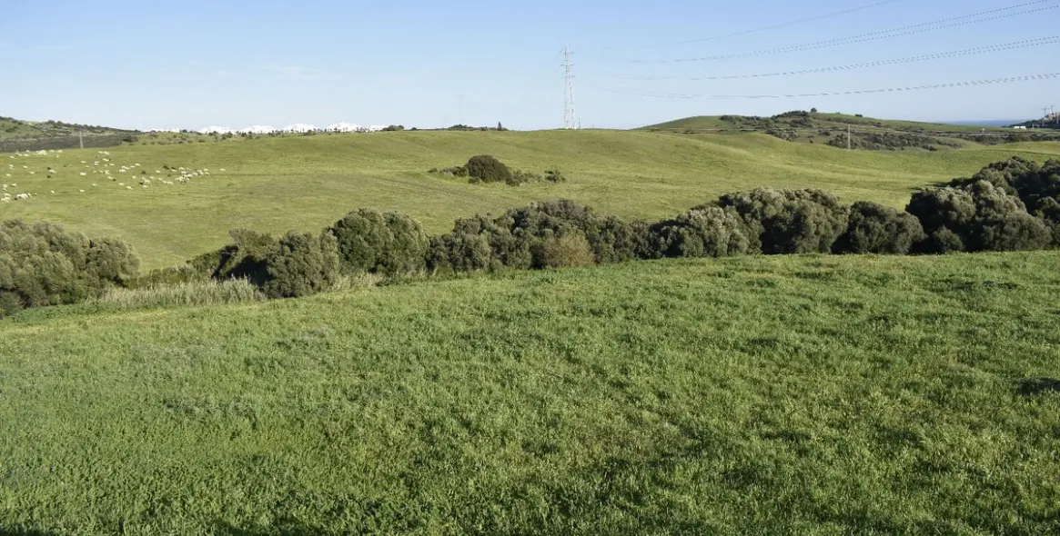 Sale of residential plot in Casares 18