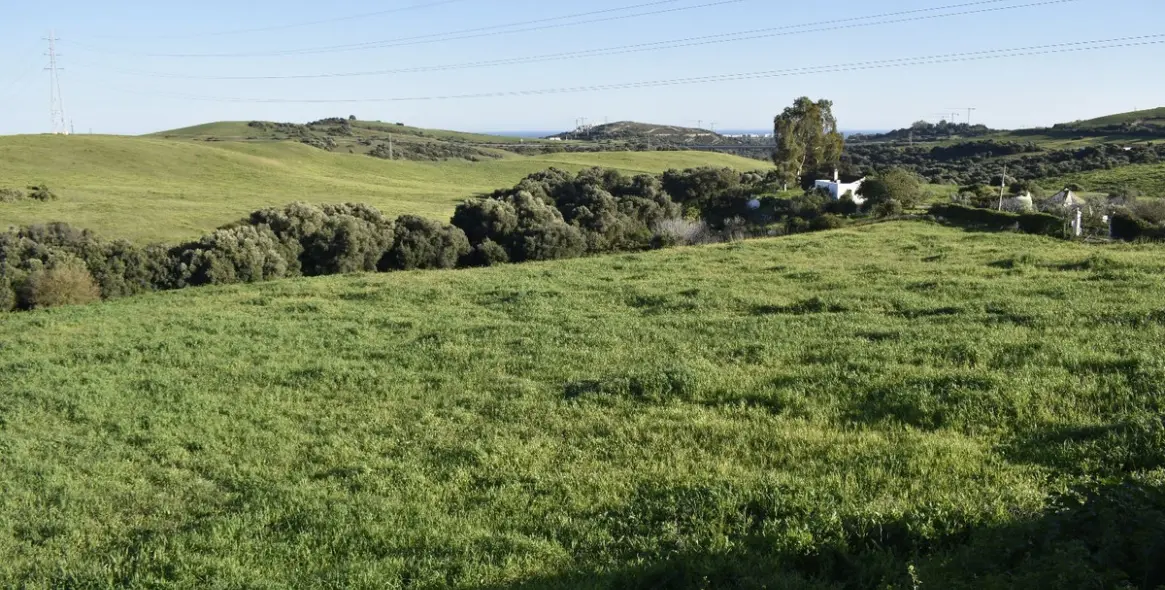 Sale of residential plot in Casares 27