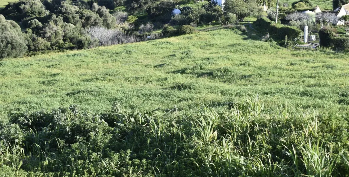 Sale of residential plot in Casares 28