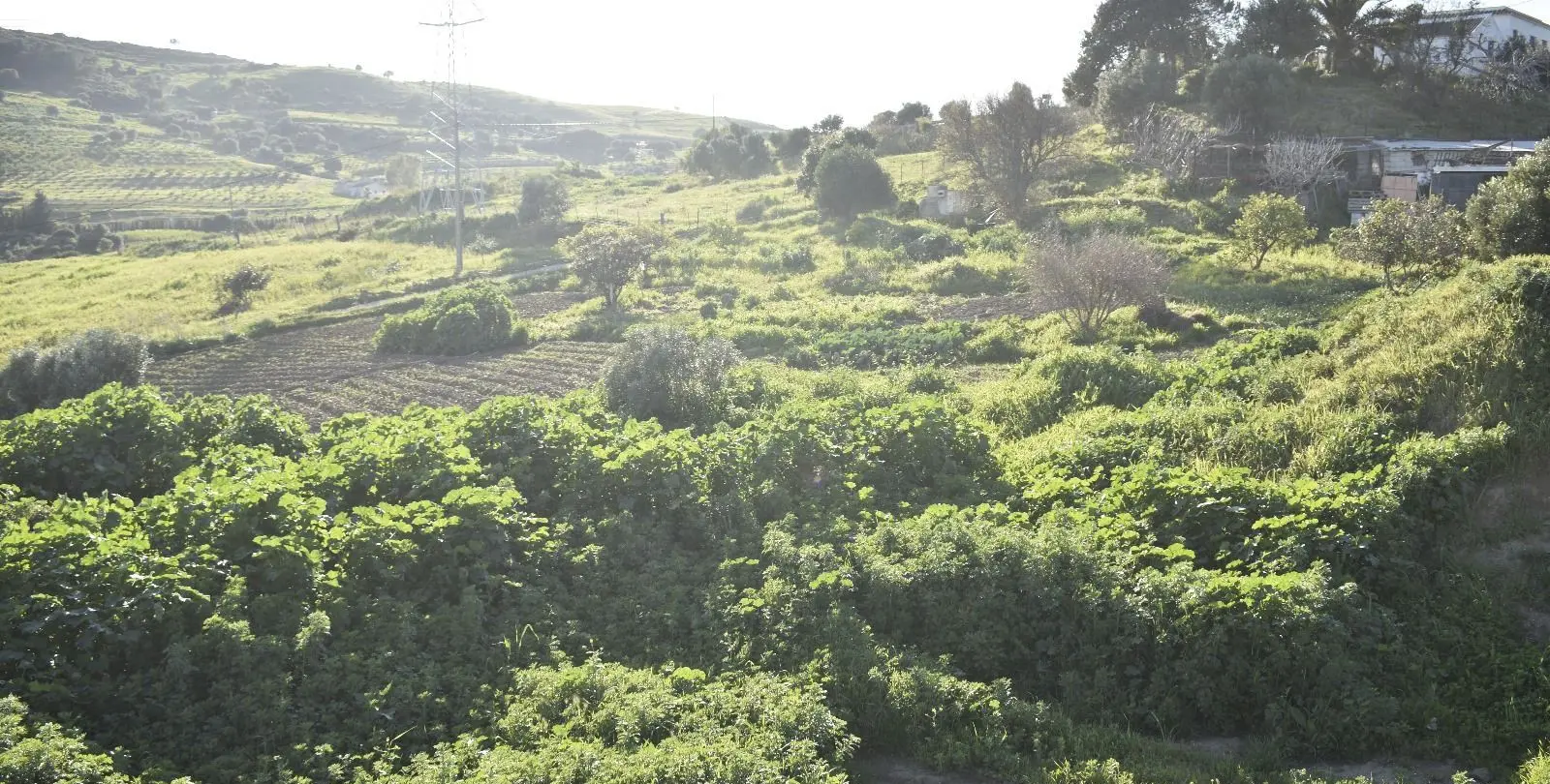 Sale of residential plot in Casares 11