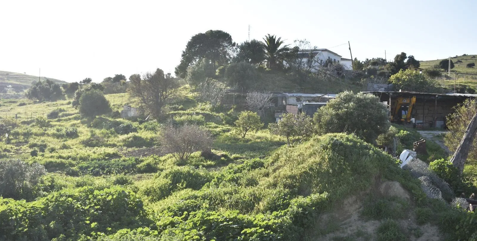 Sale of residential plot in Casares 15