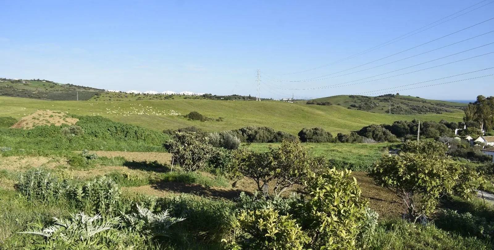 Sale of residential plot in Casares 16