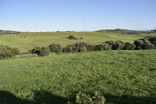 Image 18 thumb