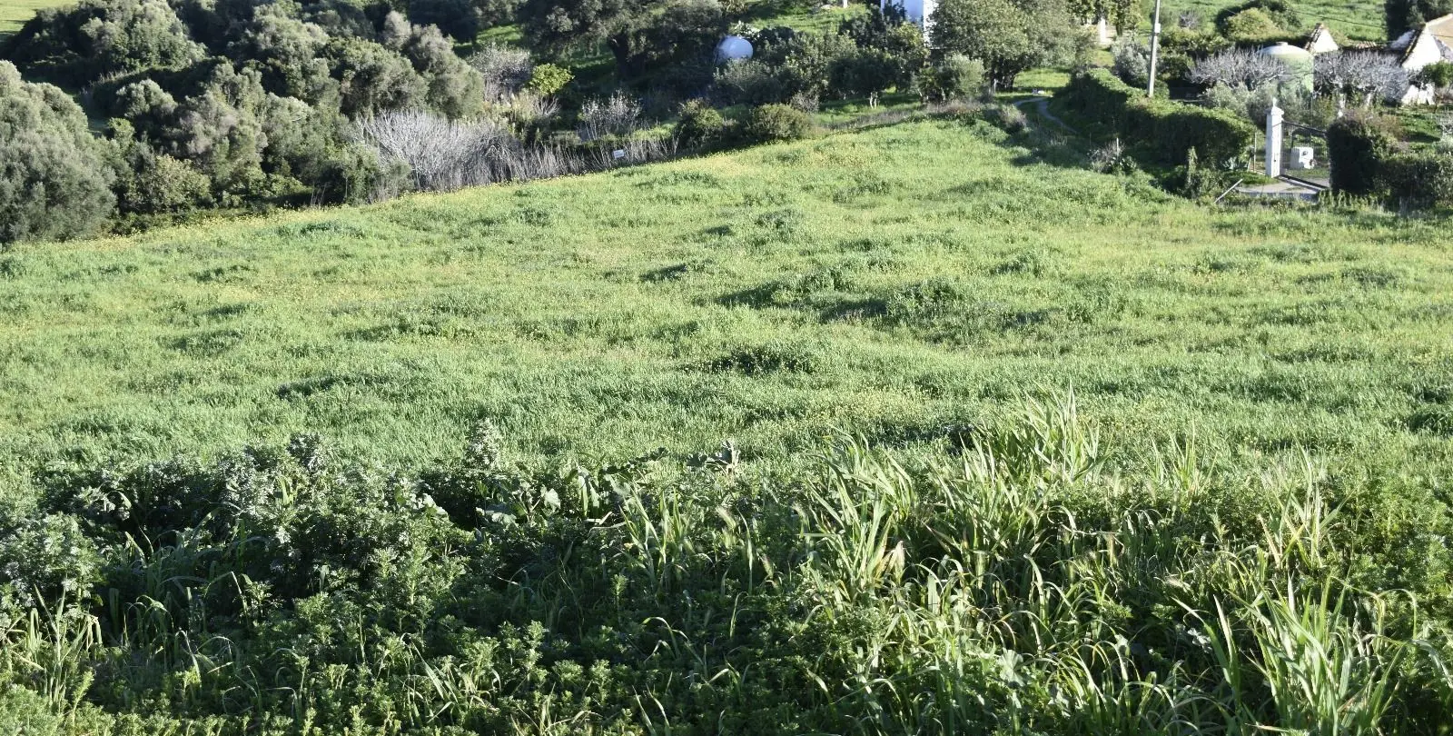 Sale of residential plot in Casares 28
