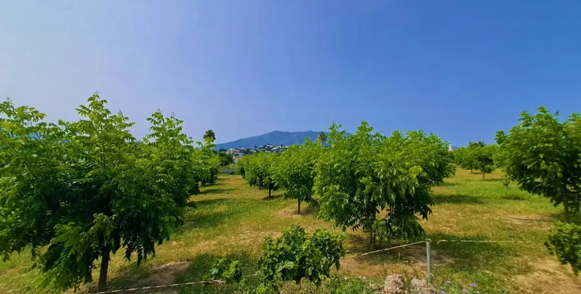 Sale of finca - cortijo in Las Lagunas 13