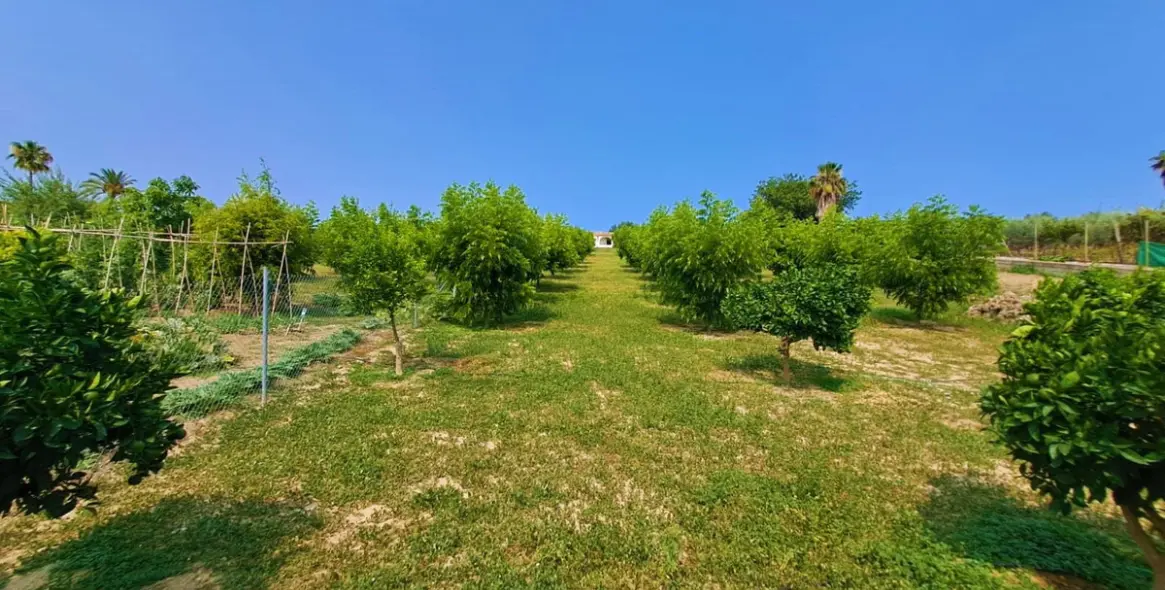Sale of finca - cortijo in Las Lagunas 18
