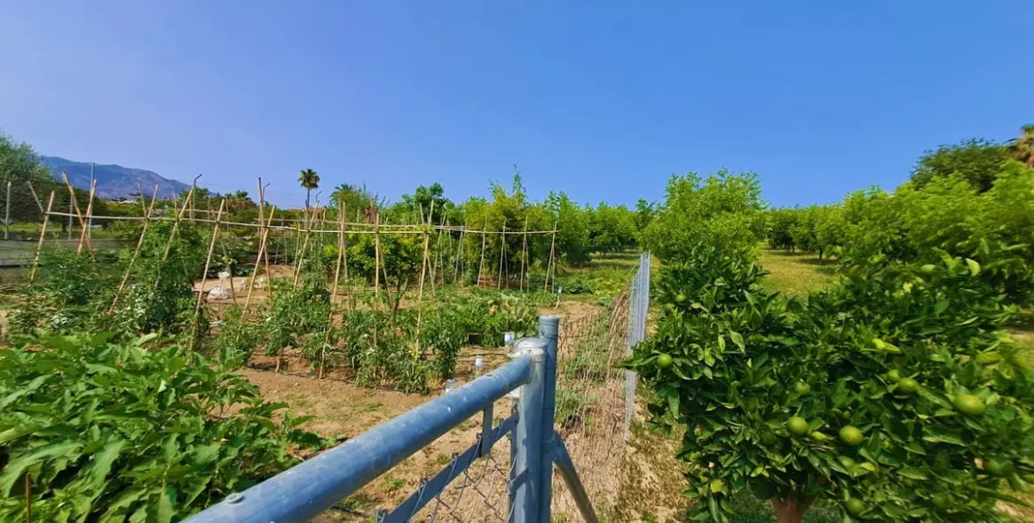 Sale of finca - cortijo in Las Lagunas 20