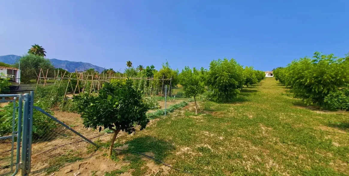 Sale of finca - cortijo in Las Lagunas 17