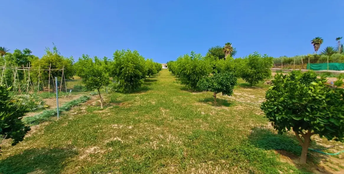 Sale of finca - cortijo in Las Lagunas 19