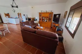 Image 3 thumb
