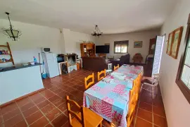 Image 4 thumb