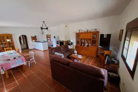 Image 5 thumb