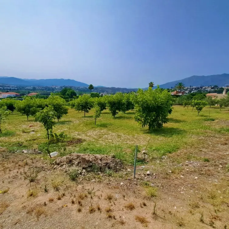 Venta de finca - cortijo en Las Lagunas