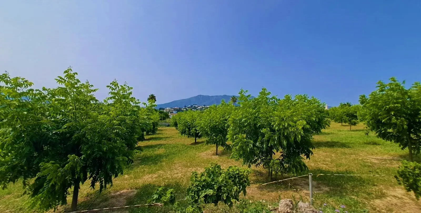 Venta de finca - cortijo en Las Lagunas 13