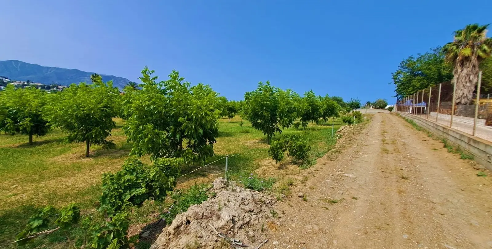 Venta de finca - cortijo en Las Lagunas 15