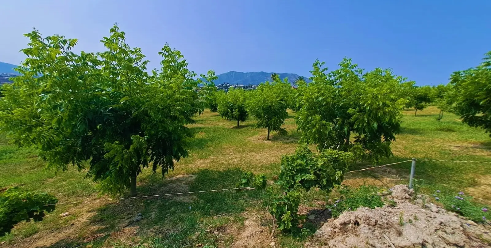 Venta de finca - cortijo en Las Lagunas 16