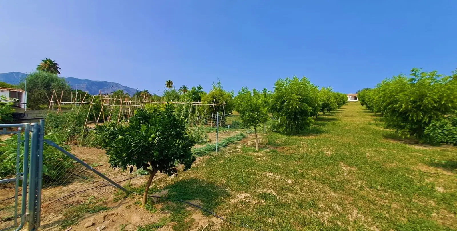 Venta de finca - cortijo en Las Lagunas 17