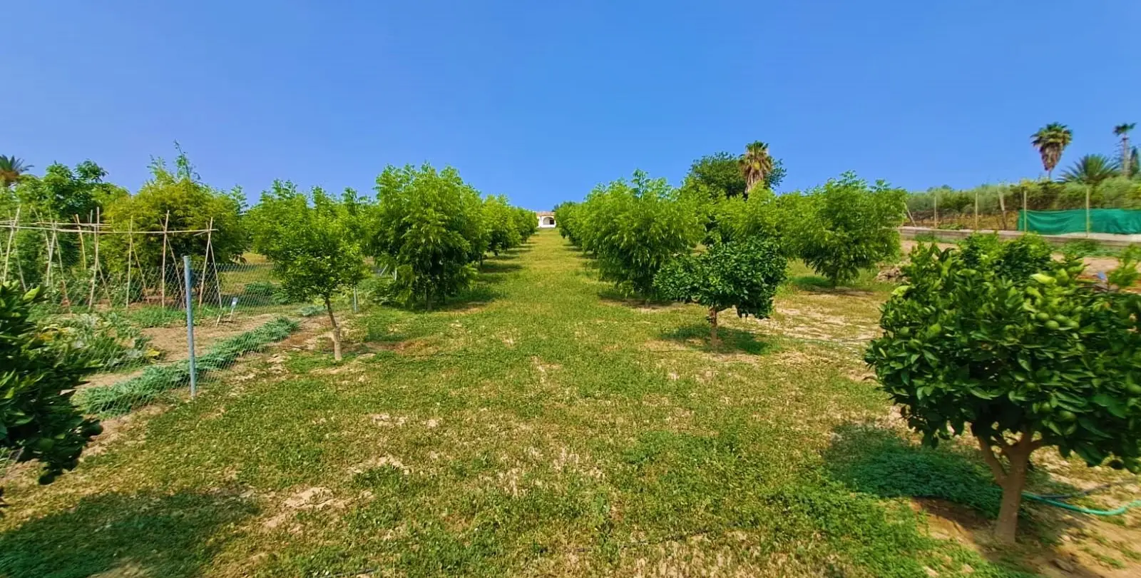 Venta de finca - cortijo en Las Lagunas 19