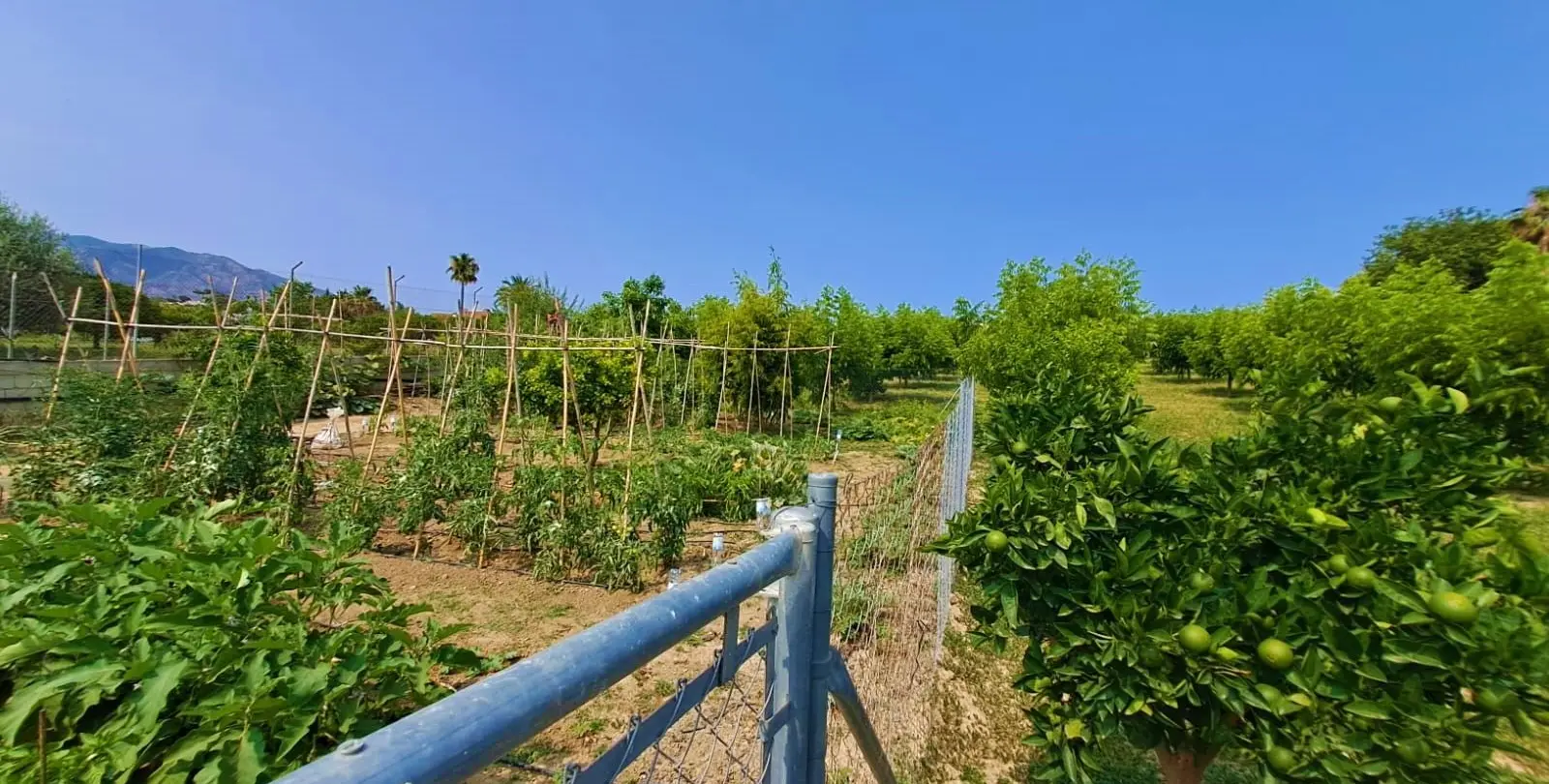 Venta de finca - cortijo en Las Lagunas 20