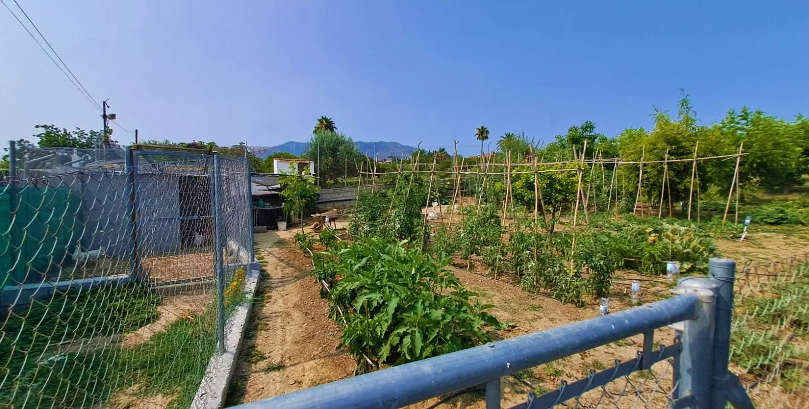 Venta de finca - cortijo en Las Lagunas 21