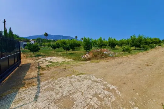 Image 22 thumb