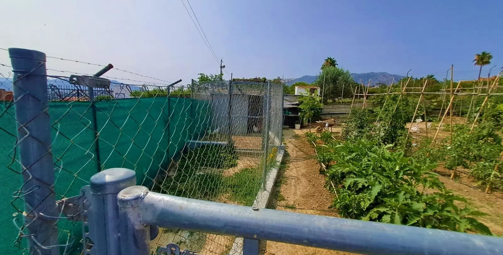 Venta de finca - cortijo en Las Lagunas 25