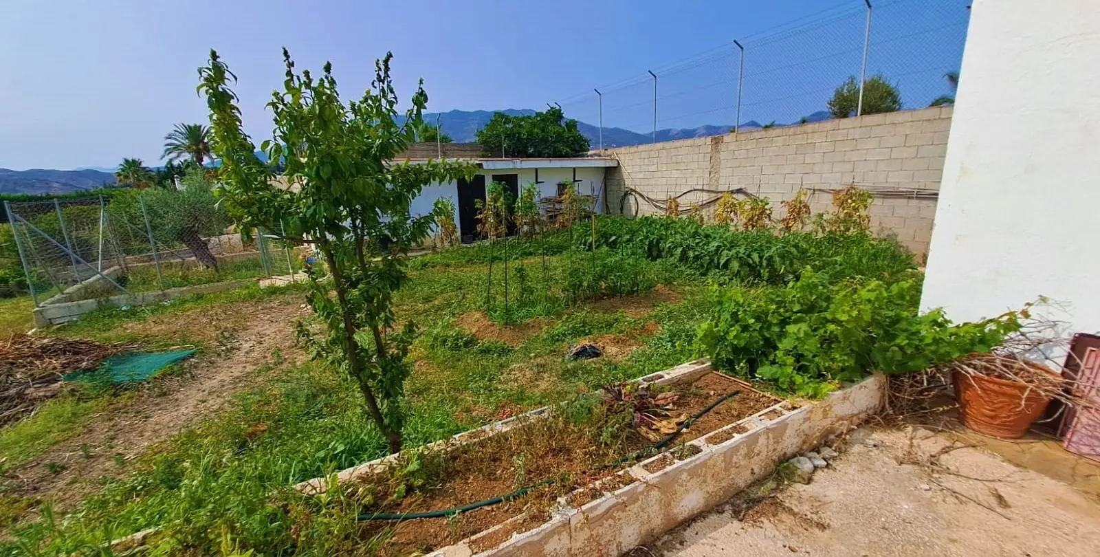 Venta de finca - cortijo en Las Lagunas 28