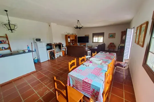 Image 4 thumb