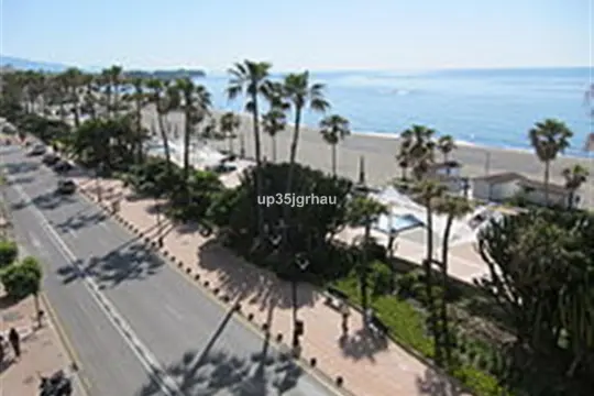 Image 4 thumb