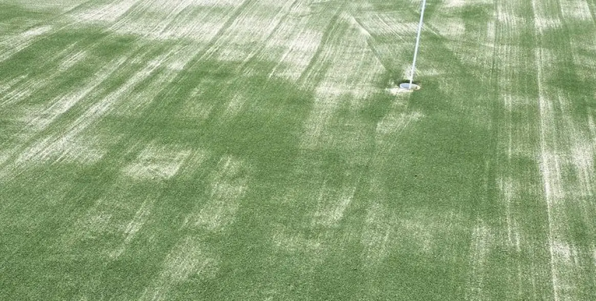 Sale of finca - cortijo in Alhaurín de la Torre 36