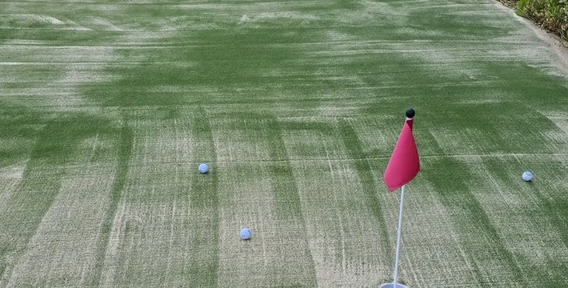 Sale of finca - cortijo in Alhaurín de la Torre 37