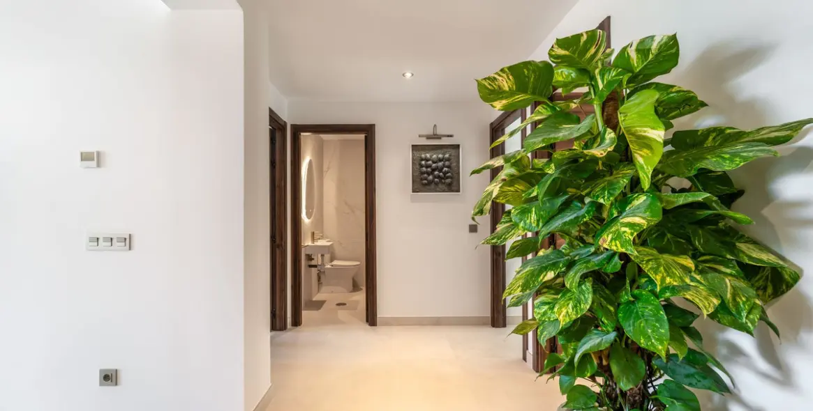 Продажа пентхауса в La Quinta 35