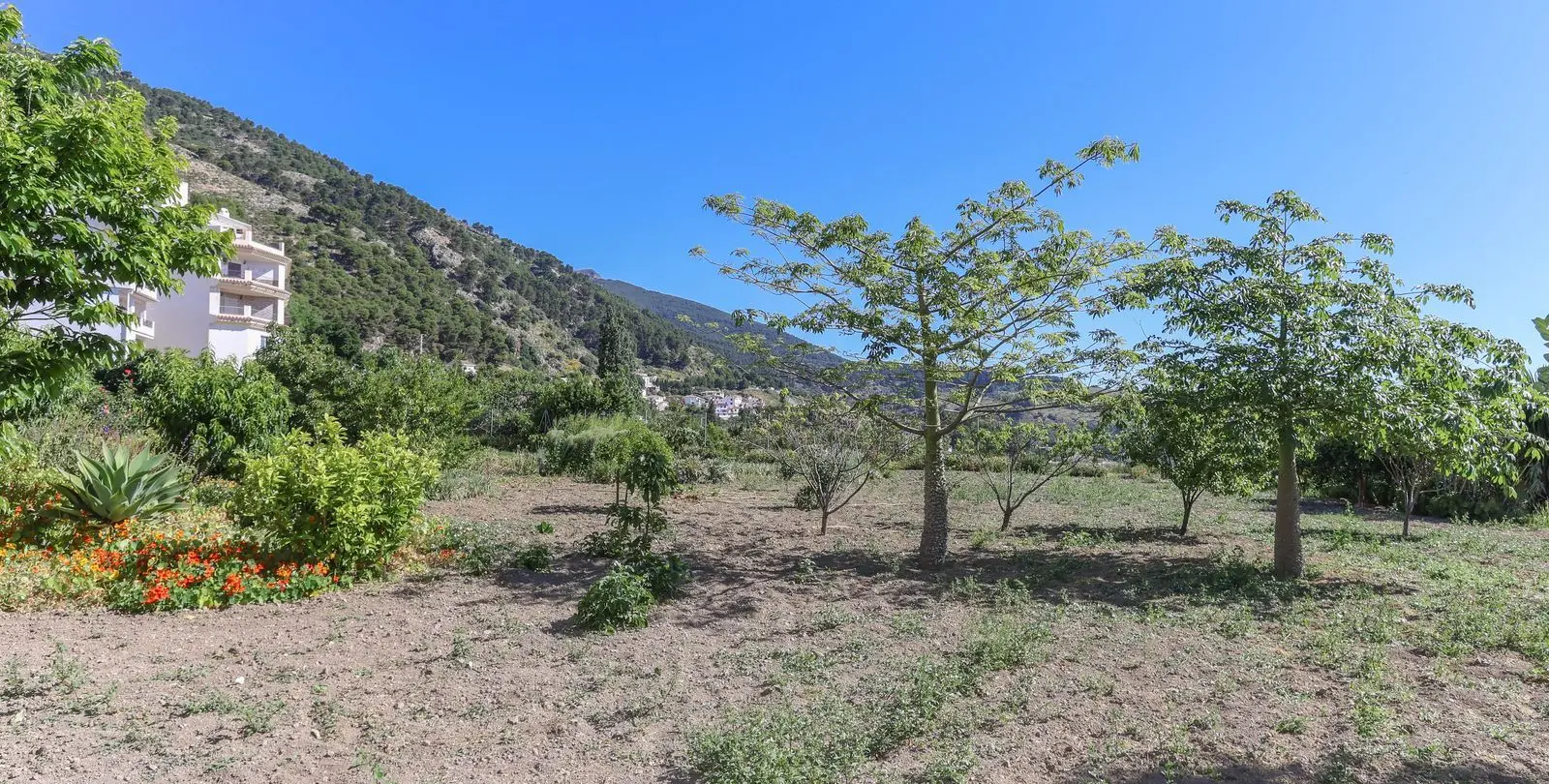 Sale of townhouse in Casarabonela 45