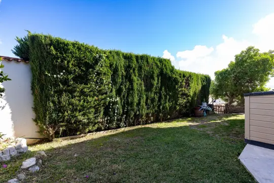 Image 19 thumb