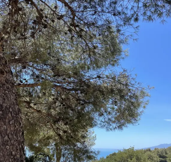 Venta de parcela residencial en Málaga Este