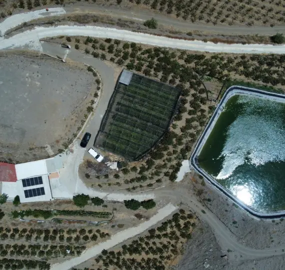 Residential plot R4779304